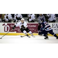 Atlanta Gladiators vs. the Orlando Solar Bears