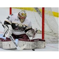 Berlin River Drivers Goaltender Paul Bourbeau