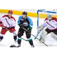 Alaska Aces in Front of the Allen Americans Goal