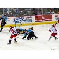 Spencer Asuchak of the Allen Americans Scores against the Alaska Aces