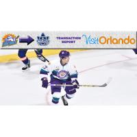 Orlando Solar Bears Forward T.J. Foster