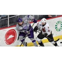 Atlanta Gladiators vs. the Orlando Solar Bears against the Boards