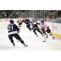 Corpus Christi IceRays vs. the Lone Star Brahmas