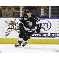 Manchester Monarchs Forward Matt Fornataro