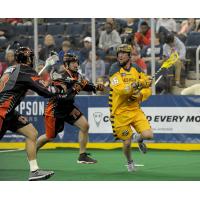 Kiel Matisz of the Georgia Swarm Faces the Buffalo Bandits