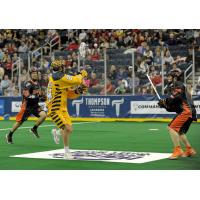 Jordan MacIntosh of the Georgia Swarm Collects the Ball vs. the Buffalo Bandits