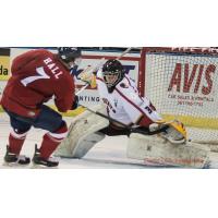 Corpus Christi IceRays Goaltender Dryden McKay Makes a Save