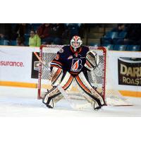 Kamloops Blazers Goaltender Connor Ingram
