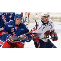 Kitchener Rangers vs. the Hamilton Bulldogs