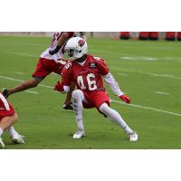 Defensive Back Jimmy Legree Practices with the Arizona Cardinals