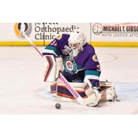 Orlando Solar Bears Goaltender Ryan Massa