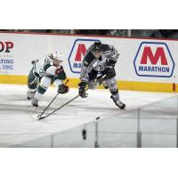 Chicago Wolves Race the Iowa Wild to the Puck