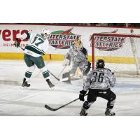 Chicago Wolves Fend off the Iowa Wild Attack