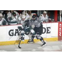 Chicago Wolves LW Dmitrij Jaskin Levels the Iowa Wild RW Zack Mitchell