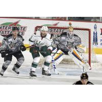 Chicago Wolves vs. the Iowa Wild