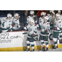 The Iowa Wild Bench Offers Congratulations on a Goal vs. the Chicago Wolves