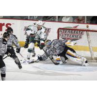 Chicago Wolves Goaltender Pheonix Copley vs. the Iowa Wild