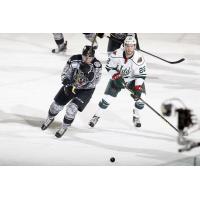 Chicago Wolves RW Dmitrij Jaskin vs. Iowa Wild Center Grayson Downing