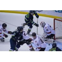 Bloomington Thunder Scramble for a Goal vs. the Chicago Steel