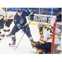 Bloomington Thunder Right Wing Mitchell Chaffee