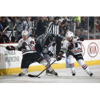 Chicago Wolves C Pat Cannone Battles Two Rockford IceHogs for the Puck