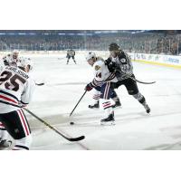 Chicago Wolves RW Jordan Caron Battles the Rockford IceHogs
