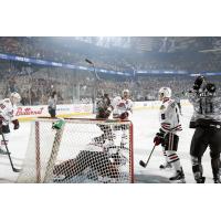 Chicago Wolves Celebrate a Goal vs. the Rockford IceHogs