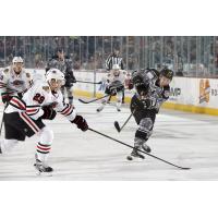 Chicago Wolves RW Jordan Caron Takes on the Rockford IceHogs