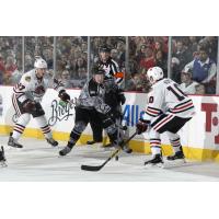 Chicago Wolves RW Danny Kristo vs. the Rockford IceHogs