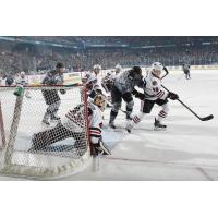 Chicago Wolves Press the Rockford IceHogs Net