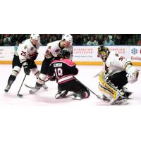Atlanta Gladiators Goaltender Matt Ginn Stops the Utah Grizzlies