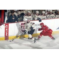 Chicago Wolves vs. the Charlotte Checkers