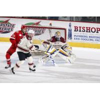 Chicago Wolves Defense vs. the Charlotte Checkers