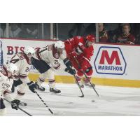 Chicago Wolves Defenseman Scooter Vaughan vs. the Charlotte Checkers