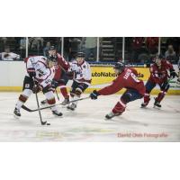Drake Lindsay of the Corpus Christi IceRays
