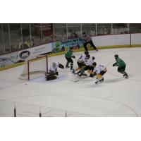 Louisiana IceGators vs. the Mississippi RiverKings
