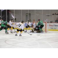 Louisiana IceGators vs. the Mississippi RiverKings