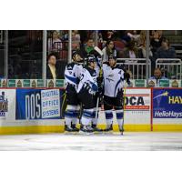 Idaho Steelheads Celebrate a Goal vs. the Wichita Thunder