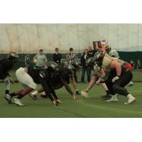 Lehigh Valley Steelhawks Black vs. Gold Scrimmage