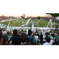 New York Cosmos Fans