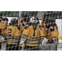 Boston Pride Celebrate a Win