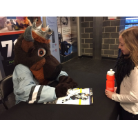 Buffalo Beauts Mascot Krusher