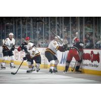 Chicago Wolves Battle the Grand Rapids Griffins