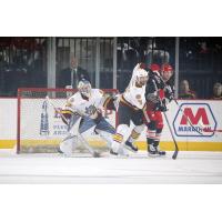 Chicago Wolves G Jordan Binnington and D Peter Harrold vs. the Grand Rapids Griffins