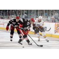 Chicago Wolves C Jeremy Welsh vs. the Grand Rapids Griffins