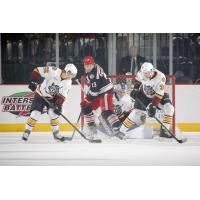 Chicago Wolves Defend their Goal against the Grand Rapids Griffins