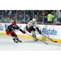 Chicago Wolves LW Yannick Veilleux vs. the Grand Rapids Griffins