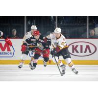 Chicago Wolves C Ivan Barbashev Handles the Puck vs. the Grand Rapids Griffins