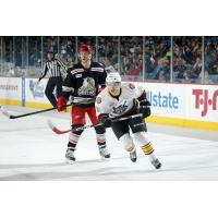 Chicago Wolves RW Ty Rattie vs. the Grand Rapids Griffins