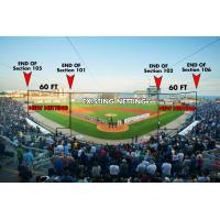 Blue Wahoos Stadium Netting Rendering